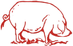 Schwein - Designelement